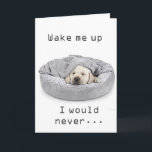 GRANDSON L'ANNIVERSAIRE ! CARTE<br><div class="desc">MERCI DE VOUS ÊTRE ARRÊTÉS PAR UN DE MES HUIT MAGASINS ! ! ! !</div>