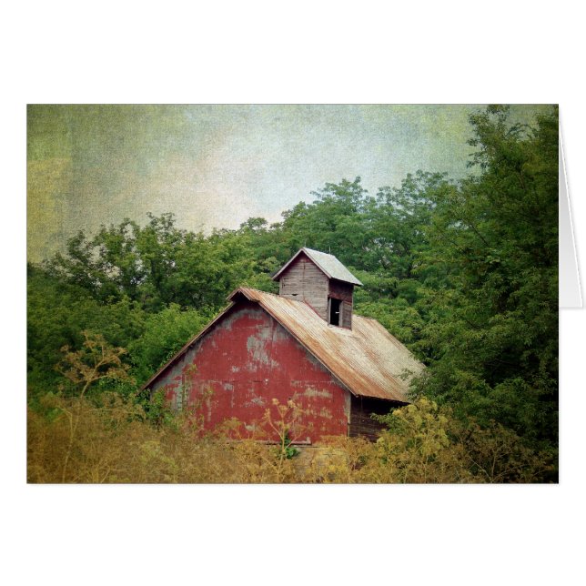 Grange Abandonné et Envahi par la Végétation Toute (Devant horizontal)