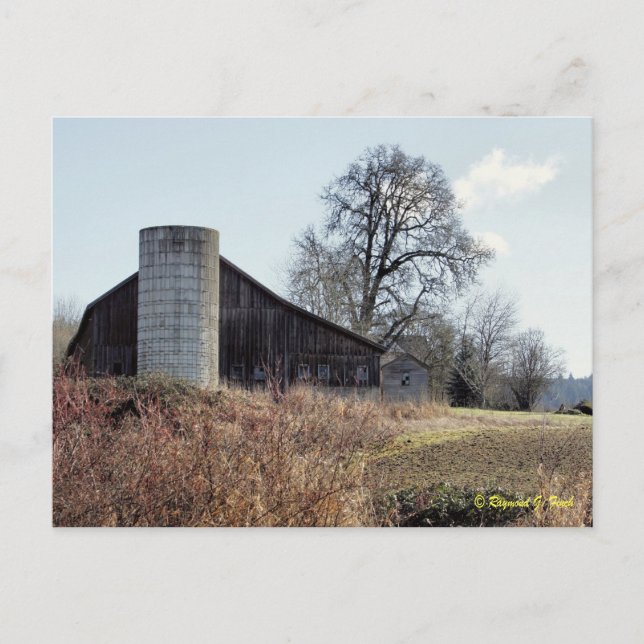 Grange et Silo - Carte postale (Devant)