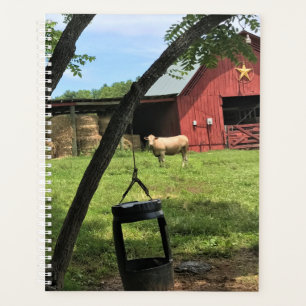 Grange et vaches, toile de Caroline du Nord rurale