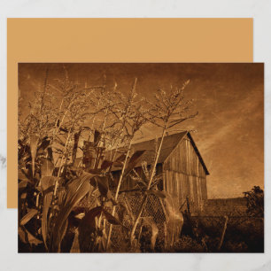 Grange rustique de campagne Brun vintage Texture d