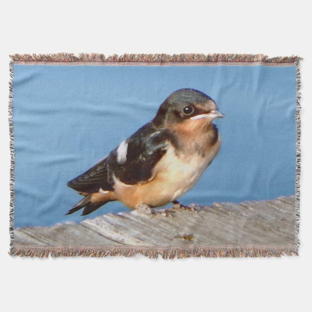 Grange Swallow jeter couverture (Devant)