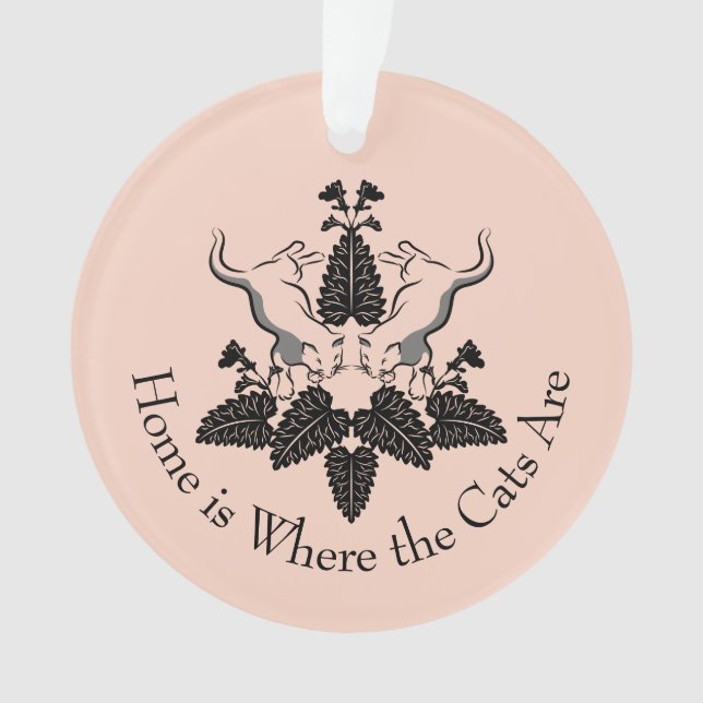 Graphique en silhouette de chats et de chats (devant)