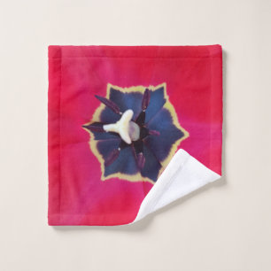 Gras Rouge Tulip Fleur Macro Nature Photographie