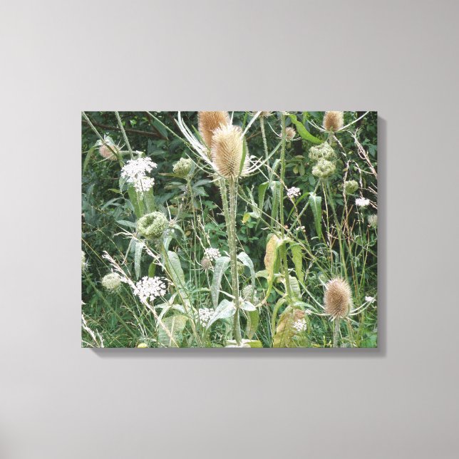 Grasses sauvages toile Imprimer (Recto)