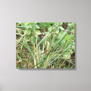 Grasshopper Camouflage toile Imprimer