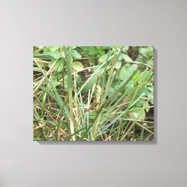 Grasshopper Camouflage toile Imprimer (Recto)