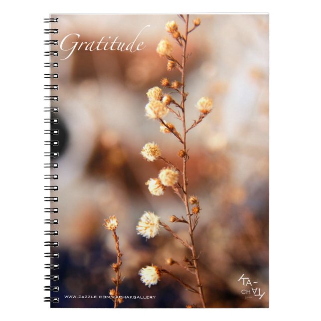 GRATITUDE - CARNETS (Devant)
