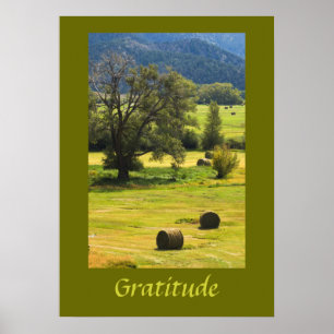 Gratitude Inspiration Poster