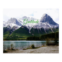 Gratitude - Poster