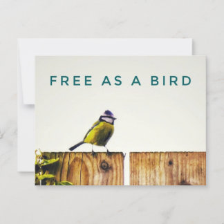 Gratuit comme carte postale d'oiseaux