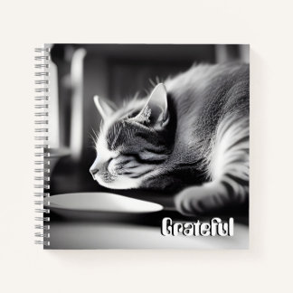 Gratuit - Journal de Gratitude de Chat Calme
