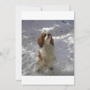 gravier dans la neige