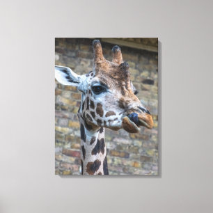 Gravure de toile Giraffup vue rapprochée