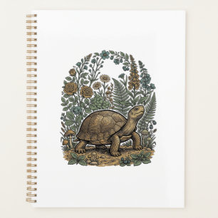 Gravure vintage tortue jardin botanique