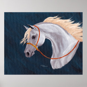 Gray Arabian Horse Portrait Poster