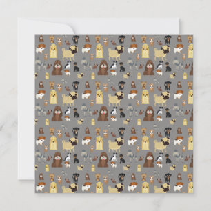 gray background dogs