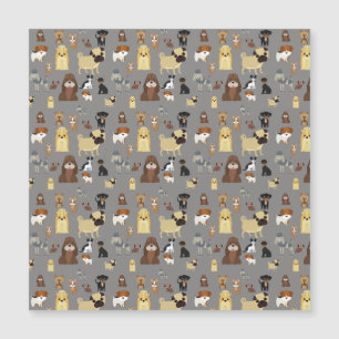 gray background dogs