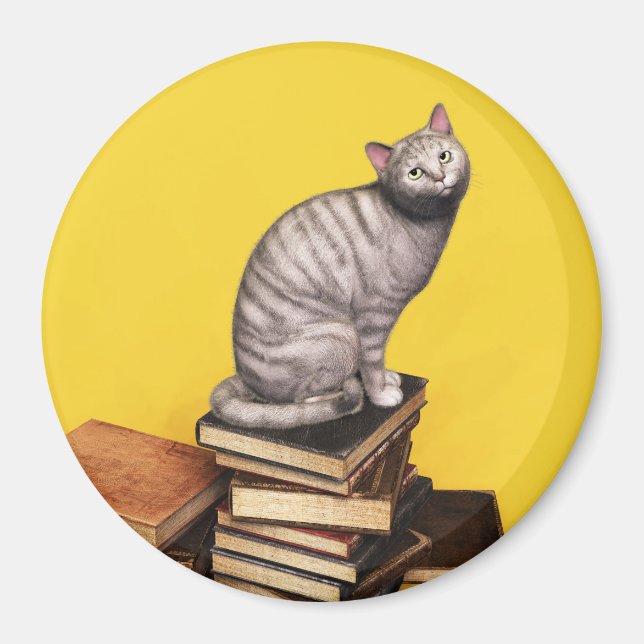 Gray Chat sur une pile de livres Magnet (Devant)