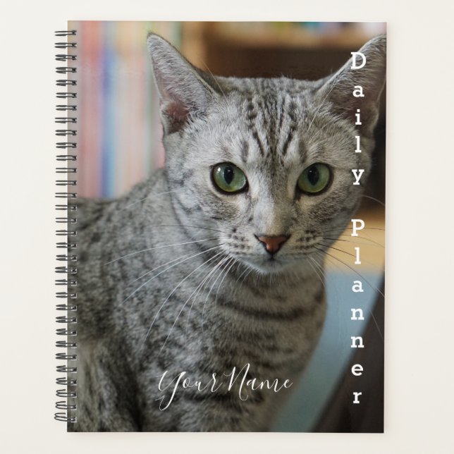 Gray Kitty - Planificateur quotidien- HAMbWG (Devant)
