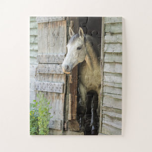 Gray Mare Horse & Barre Oversize Jigsaw Puzzle Puz