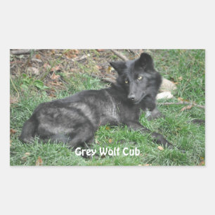 GRAY WOLF CUB Stickers de soutien à la faune