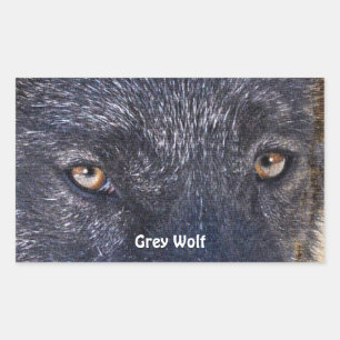 GRAY WOLF EYES Stickers de soutien à la faune