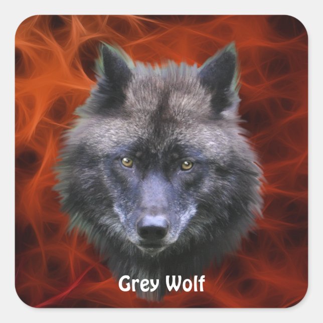 GRAY WOLF TÊTE Stickers de soutien de la faune (Devant)