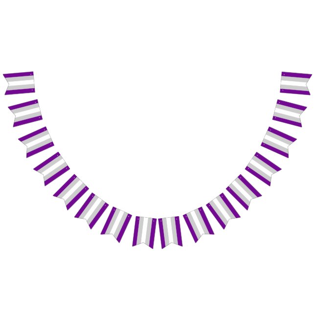 Graysexual Pride Drapeau Bannière de Bunting Parti (Tout)