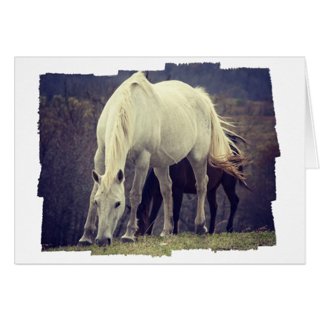 Graze (Devant horizontal)