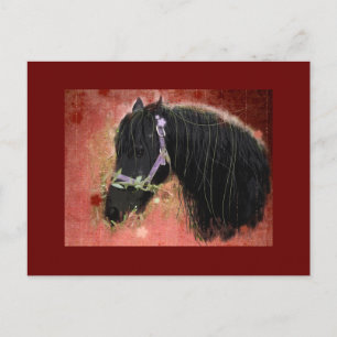 Grazing dans les champs - Carte postale