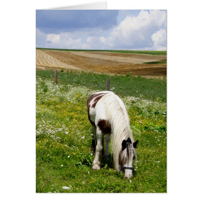Grazing horse (Devant)
