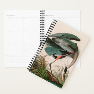 Great Blue Heron Birds of America Audubon Imprimer