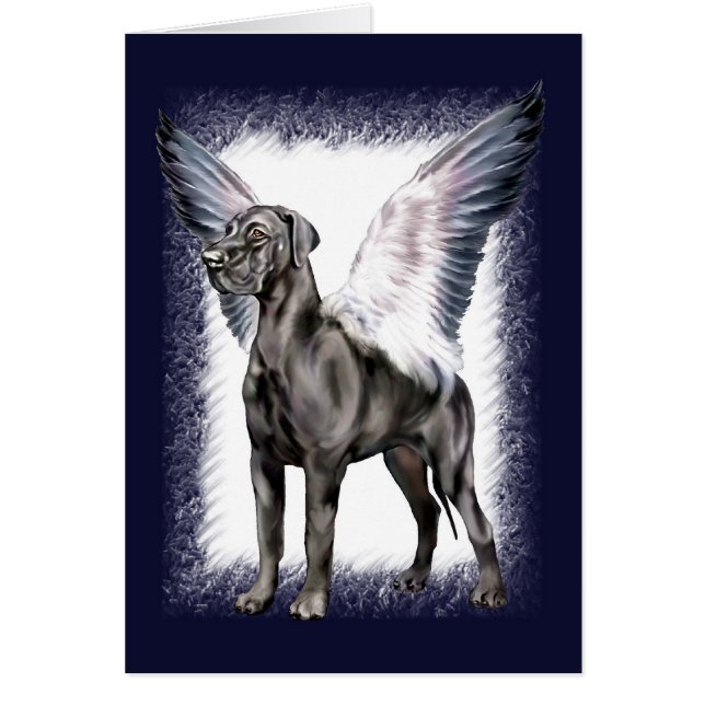 Great Dane Angel Black UC (Devant)