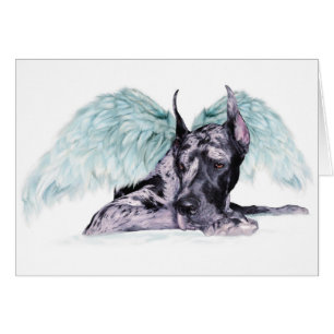 Great Dane Angel Merle