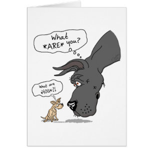 Great Dane & Chihuahua Black