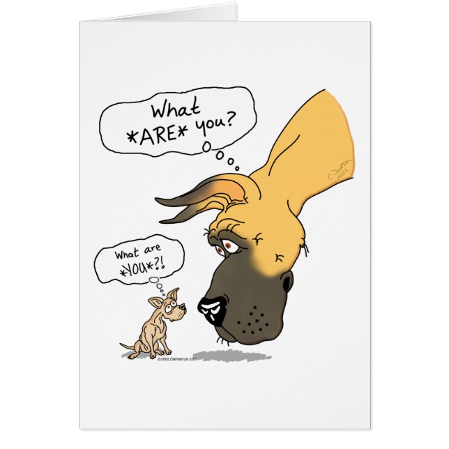 Great Dane & Chihuahua Fawn (Devant)