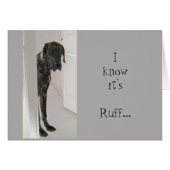 Great Dane Pet Dog C'est Been Ruff Je suis là pour (Devant horizontal)