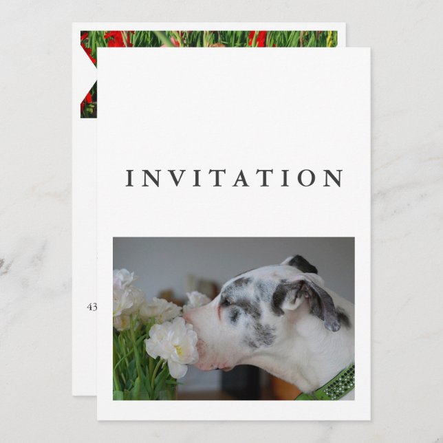 Great Dane Photo invitation  (Devant / Derrière)