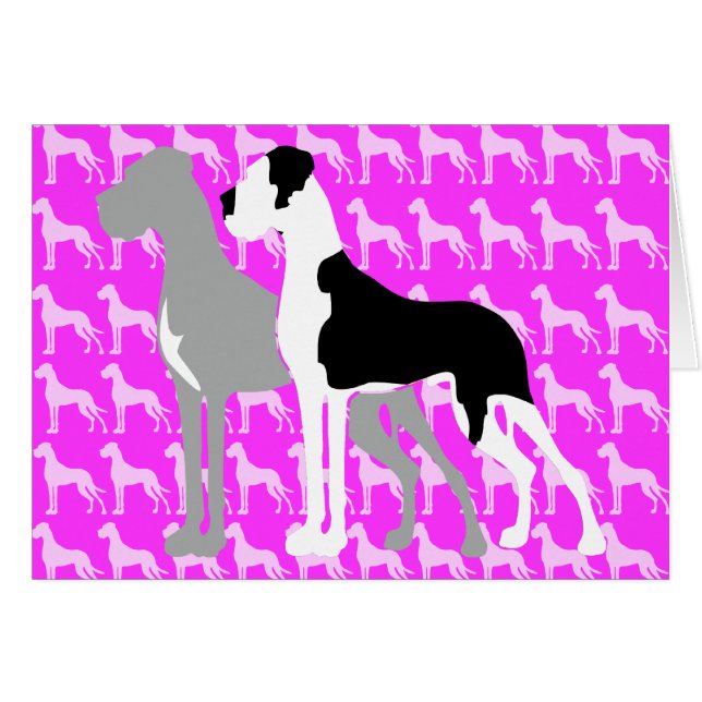 Great Danes Blue Boston (Devant horizontal)