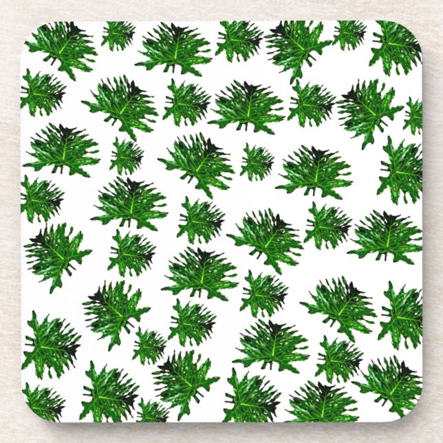Green Dracaena Fern Feuilles, Dessous de verre (Devant)