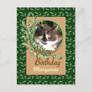 Green Eyed Calico Kitten Bonne carte postale Anniv