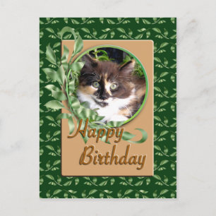 Green Eyed Calico Kitten Carte postale Anniversair