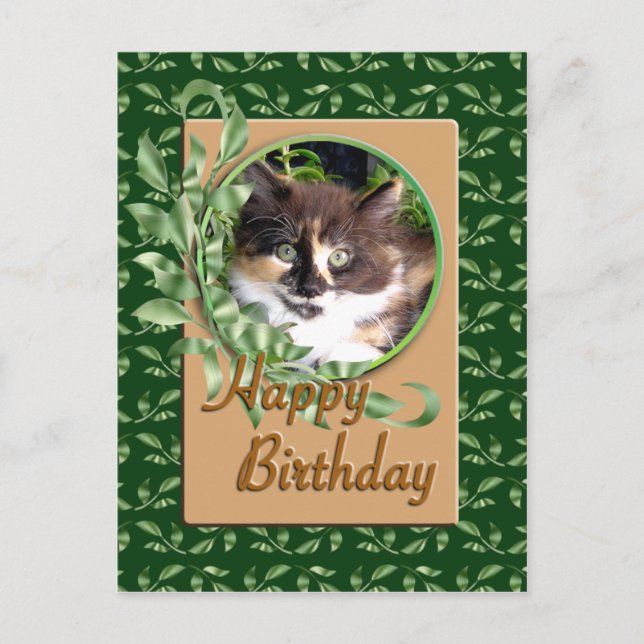 Green Eyed Calico Kitten Carte postale Anniversair (Devant)