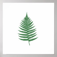 Green Fern Leaf Minimalism Square Wall Poster