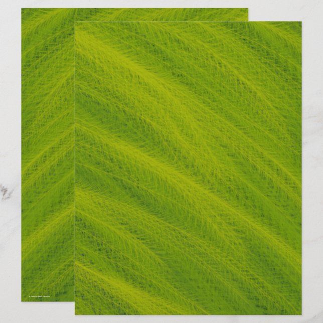 Green Field of Wheat Scrapbook Paper 2-Sided Page (Devant / Derrière)