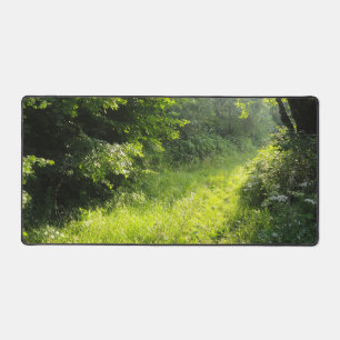 Green Forest Meadow