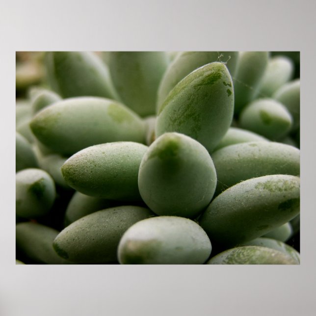 Green Gems Poster (Devant)