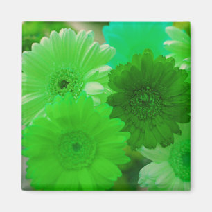 Green Gerbera Fleurs de marguerite Magnets de réfr