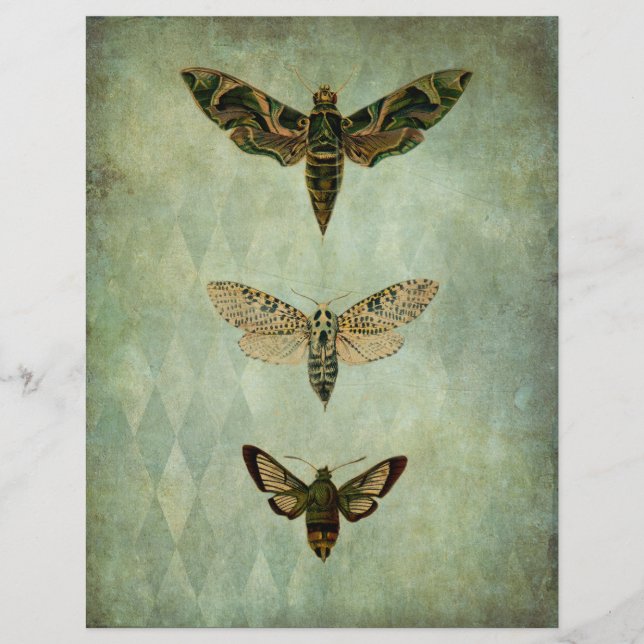 Green Moths Vintage Style Scrapbook Ephemera (Devant)